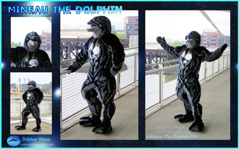 Mineau 2015 Fursuit Reference FA