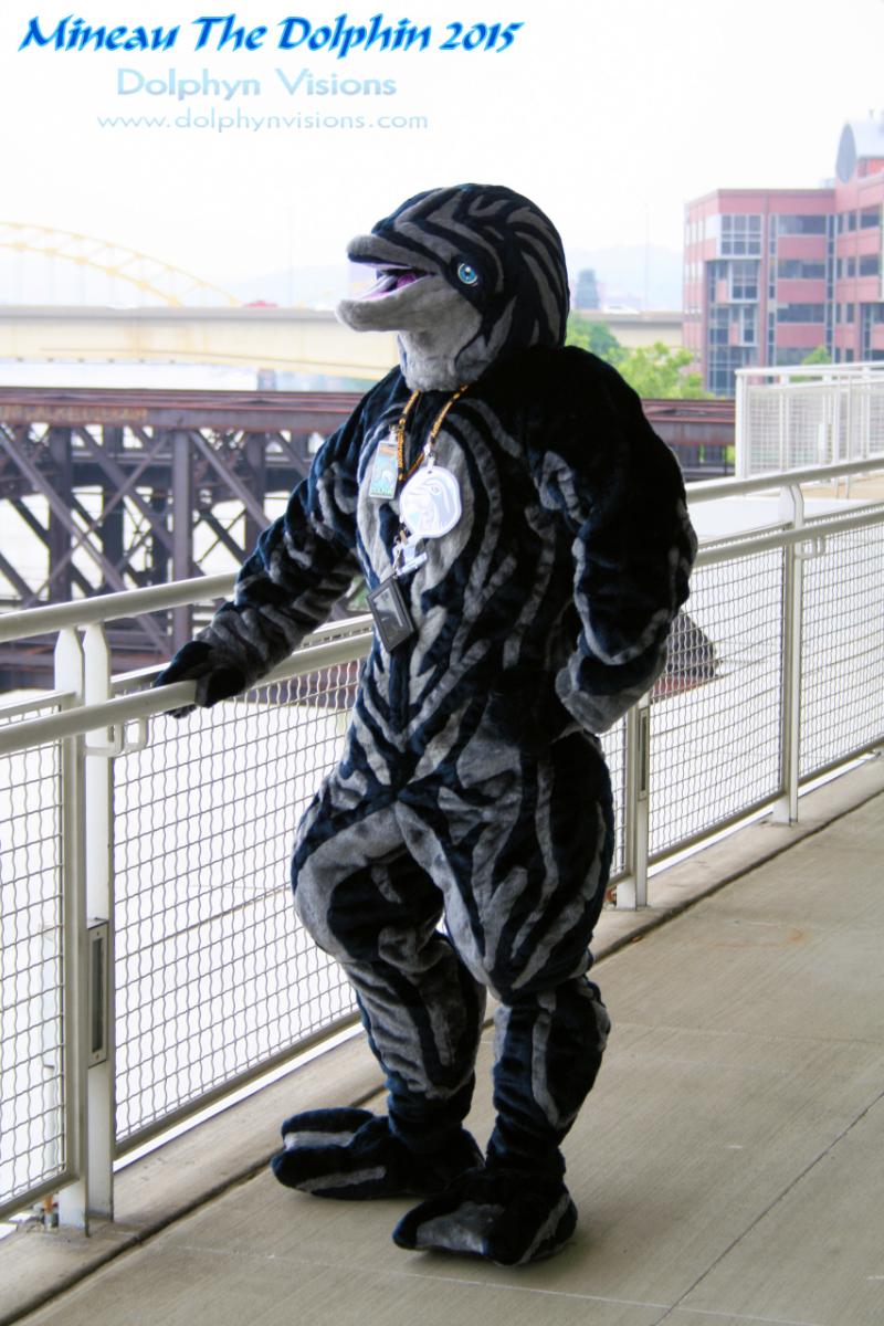 "Mineau the Dolphin"